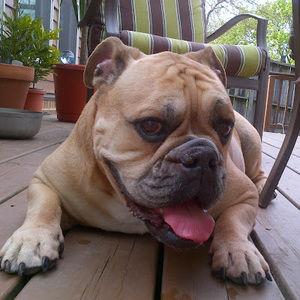 Meet your Posher, Reyna